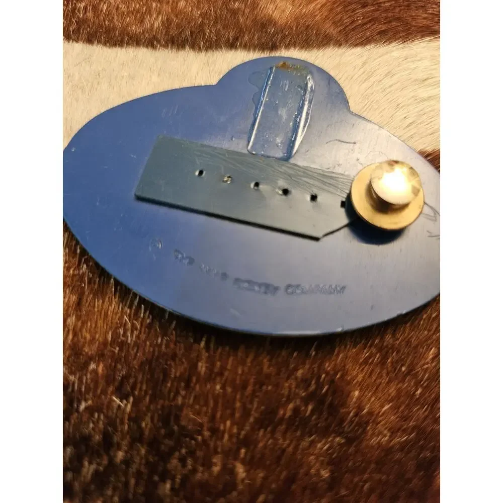 Vintage Walt Disney World 15 Year Cast Member Service Award Pin & Name Tag